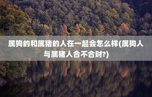 属狗的和属猪的人在一起会怎么样(属狗人与属猪人合不合财?)