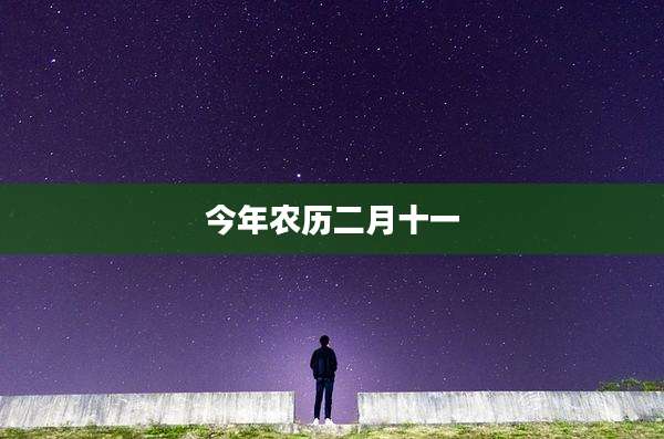 今年农历二月十一