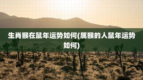 生肖猴在鼠年运势如何(属猴的人鼠年运势如何)