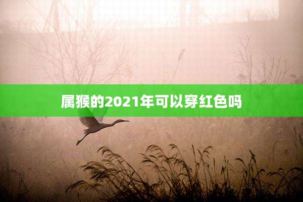 属猴的2021年可以穿红色吗