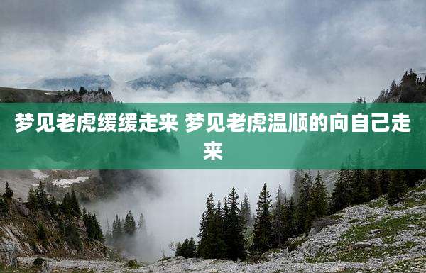 梦见老虎缓缓走来 梦见老虎温顺的向自己走来