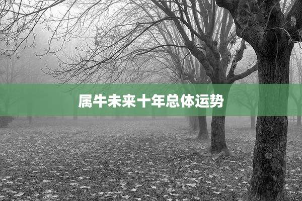 属牛未来十年总体运势