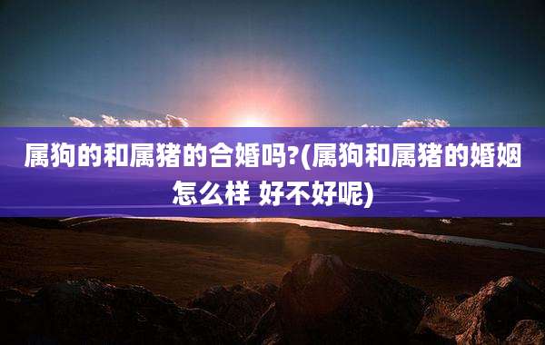 属狗的和属猪的合婚吗?(属狗和属猪的婚姻怎么样 好不好呢)