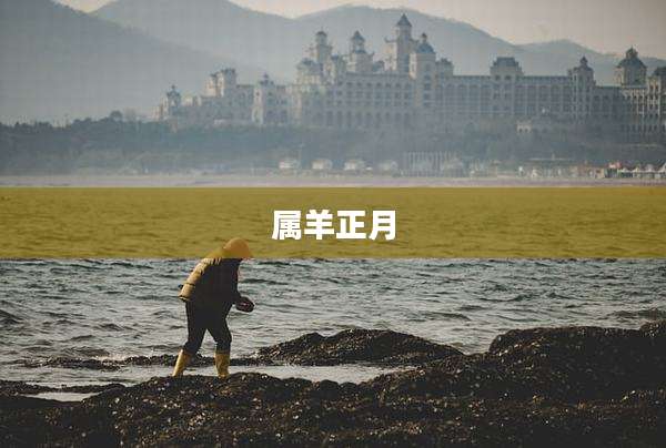 属羊正月