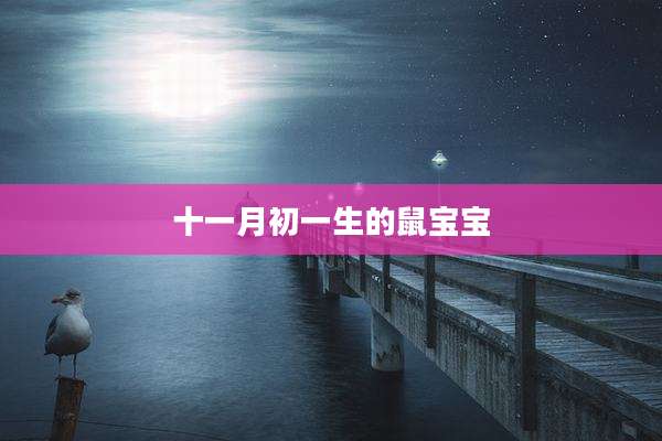 十一月初一生的鼠宝宝