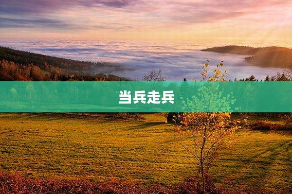 当兵走兵