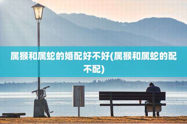 属猴和属蛇的婚配好不好(属猴和属蛇的配不配)