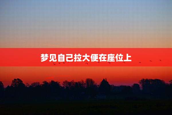 梦见自己拉大便在座位上