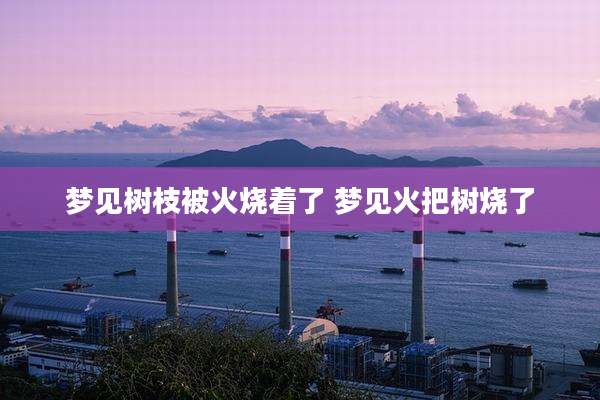梦见树枝被火烧着了 梦见火把树烧了