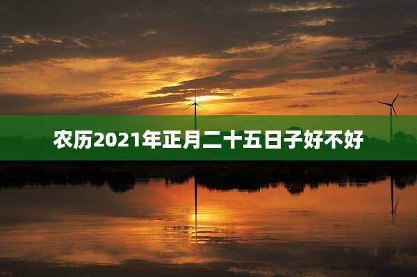 农历2021年正月二十五日子好不好