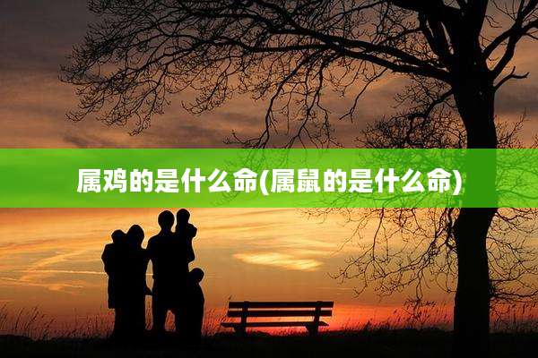属鸡的是什么命(属鼠的是什么命)