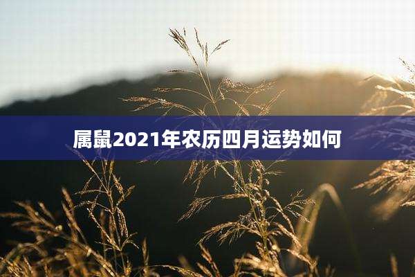 属鼠2021年农历四月运势如何