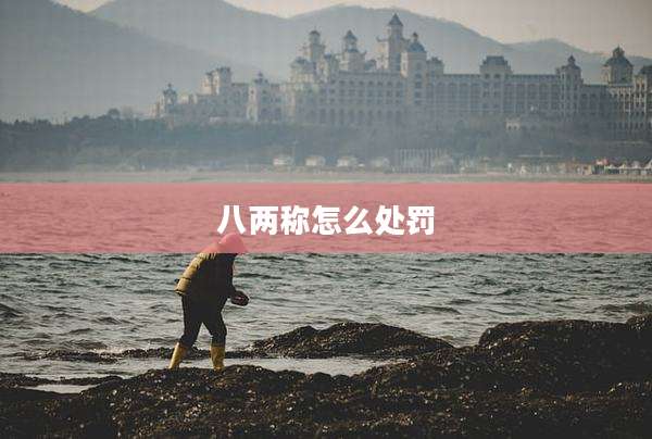 八两称怎么处罚
