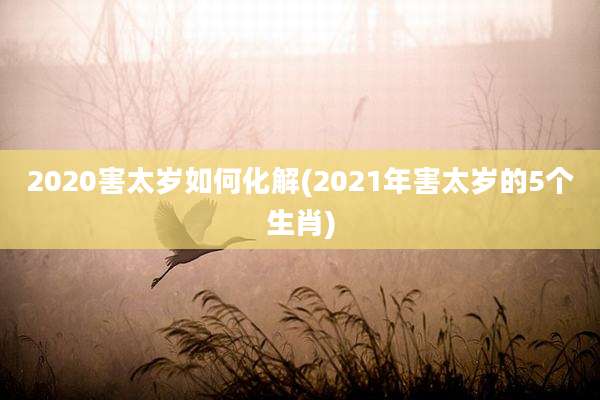 2020害太岁如何化解(2021年害太岁的5个生肖)