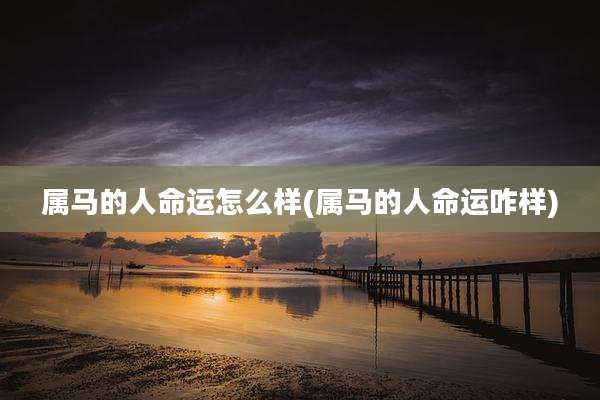 属马的人命运怎么样(属马的人命运咋样)