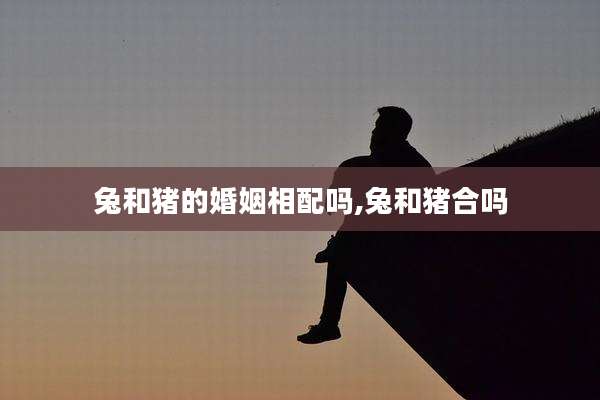兔和猪的婚姻相配吗,兔和猪合吗