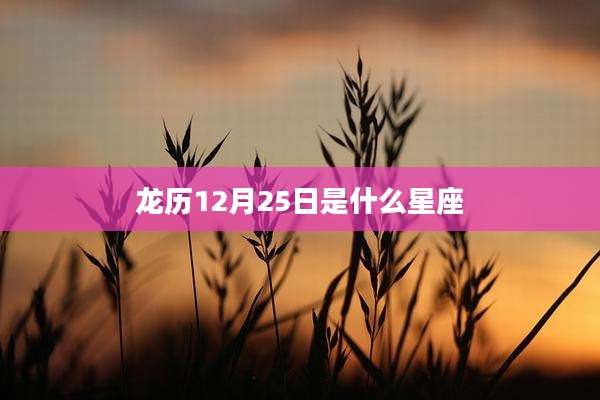 龙历12月25日是什么星座