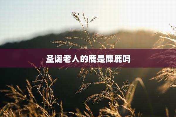 圣诞老人的鹿是麋鹿吗