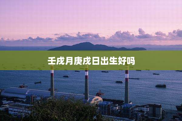 壬戌月庚戌日出生好吗