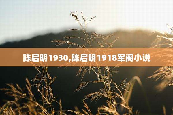 陈启明1930,陈启明1918军阀小说