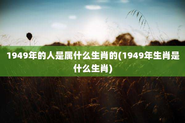 1949年的人是属什么生肖的(1949年生肖是什么生肖)
