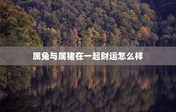 属兔与属猪在一起财运怎么样