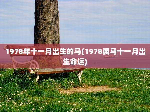 1978年十一月出生的马(1978属马十一月出生命运)