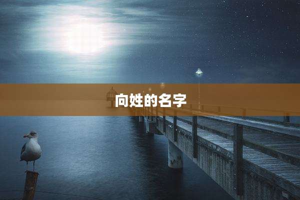 向姓的名字