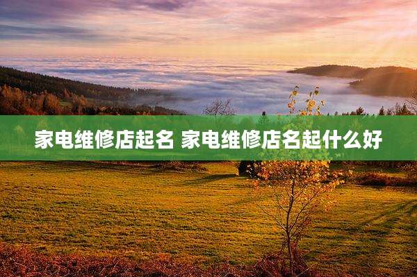 家电维修店起名 家电维修店名起什么好