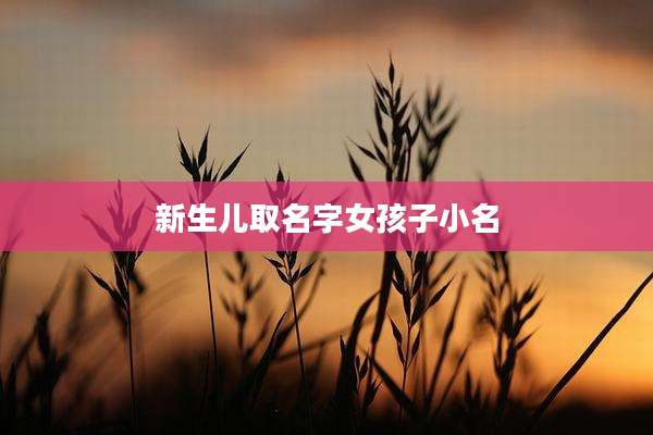 新生儿取名字女孩子小名