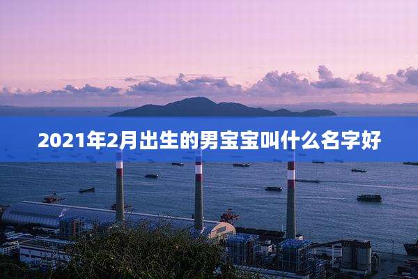 2021年2月出生的男宝宝叫什么名字好