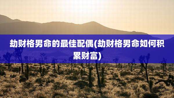 劫财格男命的最佳配偶(劫财格男命如何积累财富)