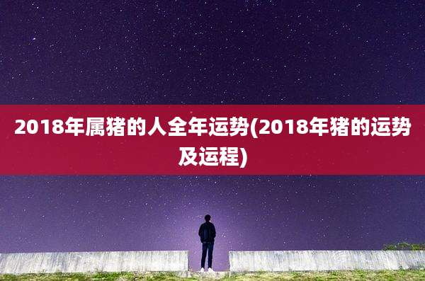 2018年属猪的人全年运势(2018年猪的运势及运程)