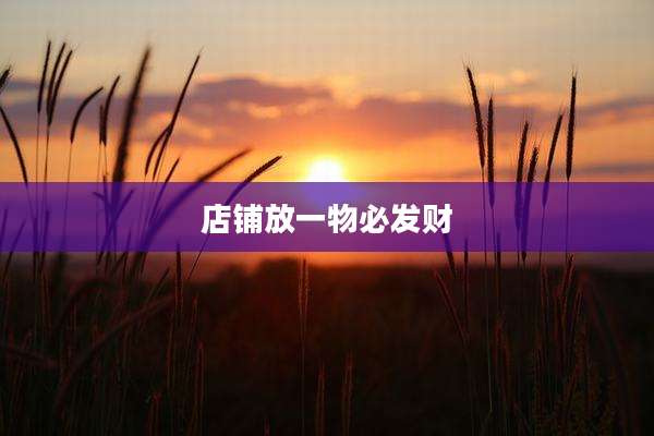 店铺放一物必发财