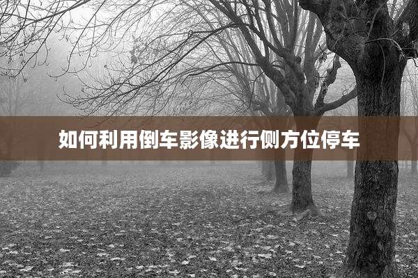 如何利用倒车影像进行侧方位停车
