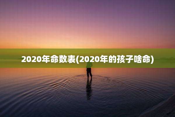 2020年命数表(2020年的孩子啥命)