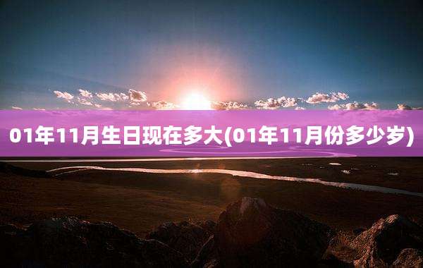 01年11月生日现在多大(01年11月份多少岁)