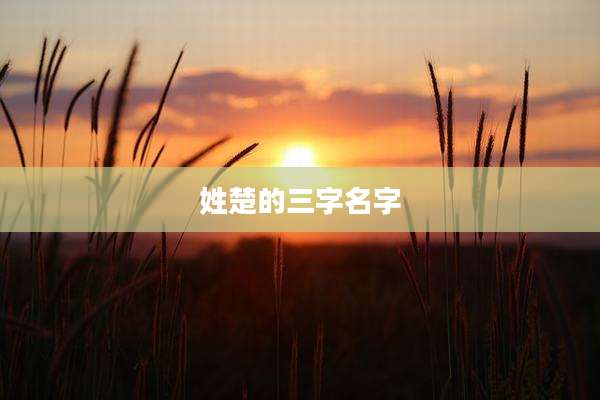 姓楚的三字名字
