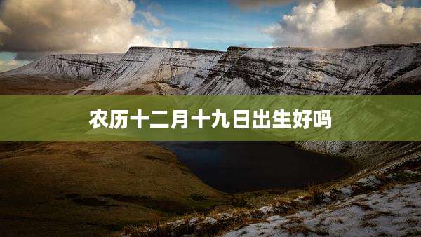 农历十二月十九日出生好吗