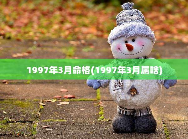 1997年3月命格(1997年3月属啥)