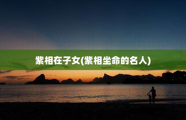 紫相在子女(紫相坐命的名人)