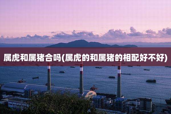 属虎和属猪合吗(属虎的和属猪的相配好不好)