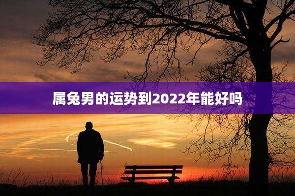 属兔男的运势到2022年能好吗