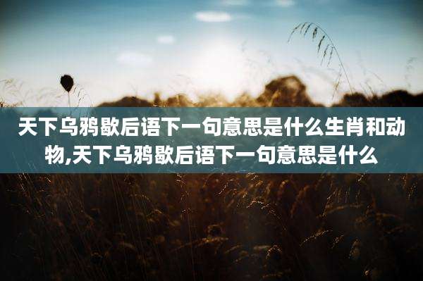 天下乌鸦歇后语下一句意思是什么生肖和动物,天下乌鸦歇后语下一句意思是什么