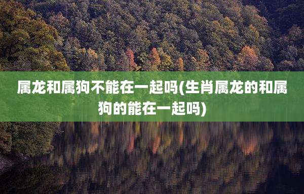 属龙和属狗不能在一起吗(生肖属龙的和属狗的能在一起吗)