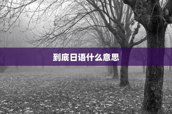 到底日语什么意思