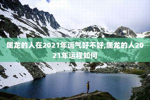 属龙的人在2021年运气好不好,属龙的人2021年运程如何