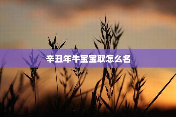辛丑年牛宝宝取怎么名