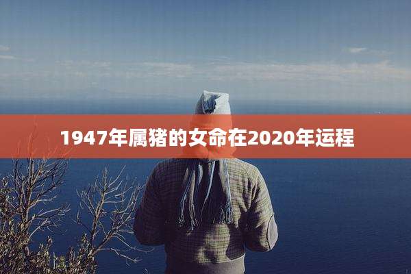 1947年属猪的女命在2020年运程