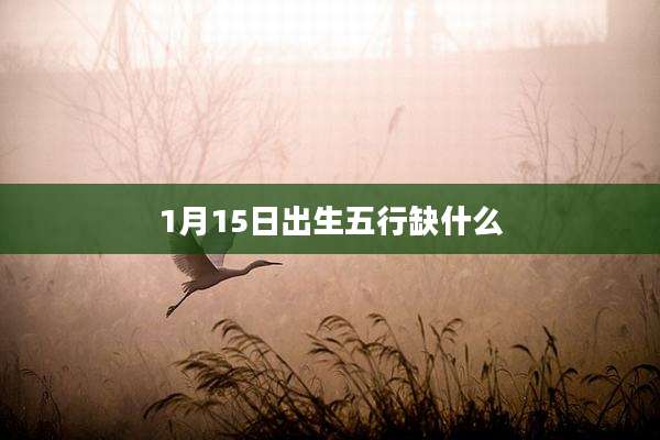 1月15日出生五行缺什么